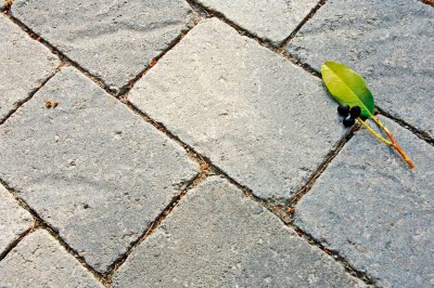 S:t Eriks® marksten, Rustik struktur i miljö, grafit mix