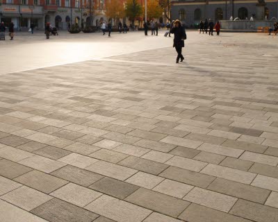 Fristadplattan - Miljöbild