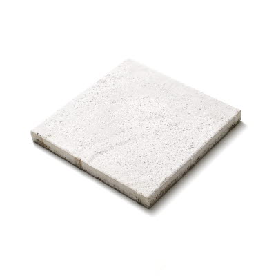 Vision är en exklusiv betongplatta med en yta som varsamt blästrats för att få naturstensballasten i plattan att framträda. Tack vare den tillverkningsmetoden får Vision en unik färgbeständighet. Plattan finns även med en strukturerad yta, Vision struktur, i samma färgställningar som Vision. Den finns också i två tjocklekar och för trädgårdsbruk väljs 40 mm men på garageuppfarten är det 60 mm som gäller. Plattan klarar endast lätt personbilstrafik, ej sopbilar, snöröjningsfordon och dylikt. Det bör man tänka på om man väljer att lägga den på uppfarten. Platta Vision finns också som belysningsplatta.