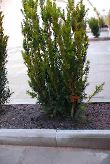 Trädgårdskantsten-Naturgrå-MB-05.jpg